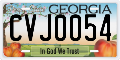 GA license plate CVJ0054