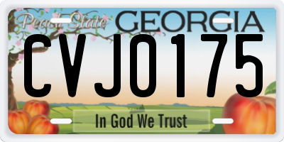 GA license plate CVJ0175