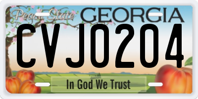 GA license plate CVJ0204