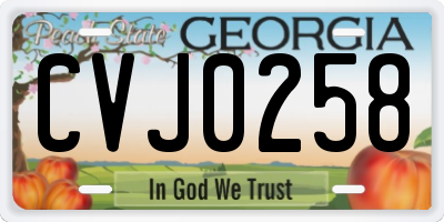 GA license plate CVJ0258