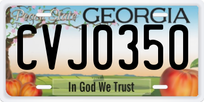 GA license plate CVJ0350