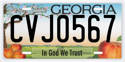 GA license plate CVJ0567