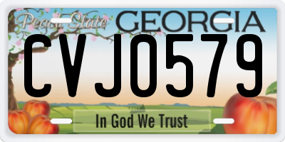 GA license plate CVJ0579