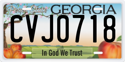 GA license plate CVJ0718