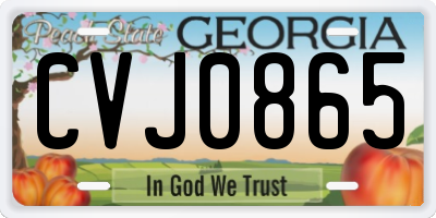 GA license plate CVJ0865