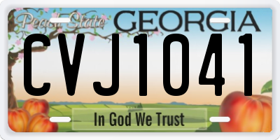 GA license plate CVJ1041