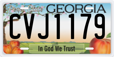 GA license plate CVJ1179