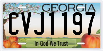 GA license plate CVJ1197