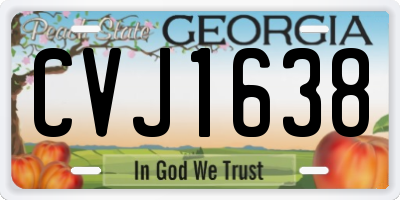GA license plate CVJ1638
