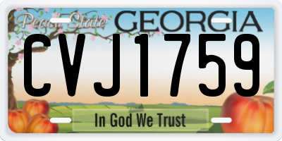 GA license plate CVJ1759