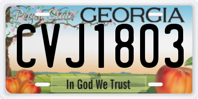 GA license plate CVJ1803