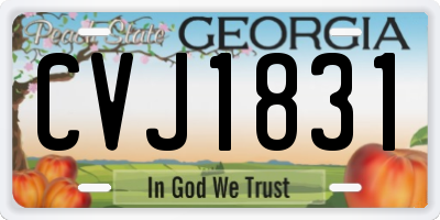 GA license plate CVJ1831