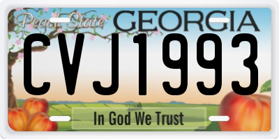 GA license plate CVJ1993