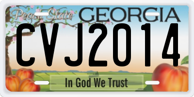 GA license plate CVJ2014
