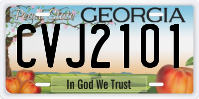 GA license plate CVJ2101