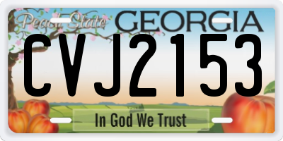 GA license plate CVJ2153