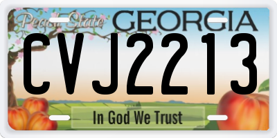 GA license plate CVJ2213