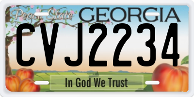 GA license plate CVJ2234