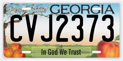 GA license plate CVJ2373