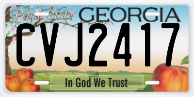 GA license plate CVJ2417