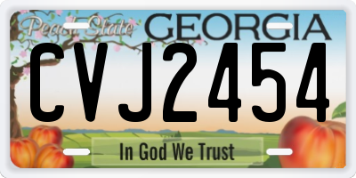 GA license plate CVJ2454