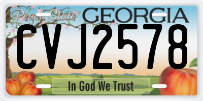 GA license plate CVJ2578