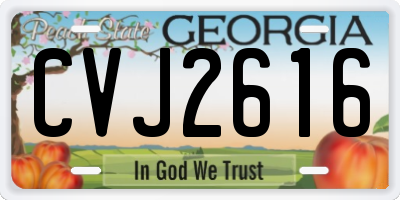 GA license plate CVJ2616