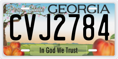GA license plate CVJ2784