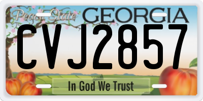 GA license plate CVJ2857