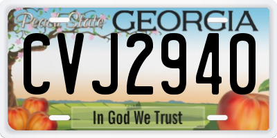 GA license plate CVJ2940