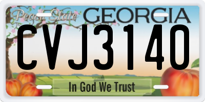 GA license plate CVJ3140
