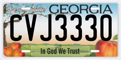 GA license plate CVJ3330