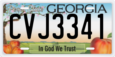 GA license plate CVJ3341
