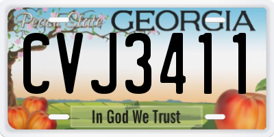 GA license plate CVJ3411