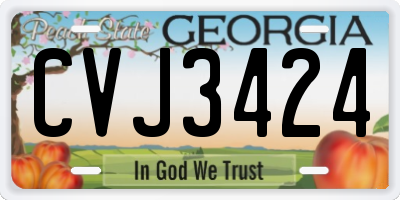 GA license plate CVJ3424