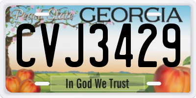 GA license plate CVJ3429