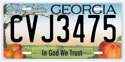 GA license plate CVJ3475