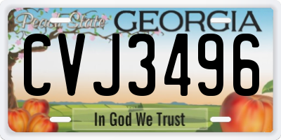 GA license plate CVJ3496