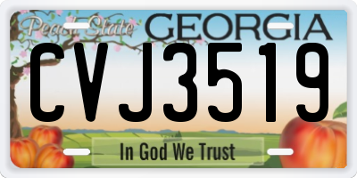 GA license plate CVJ3519