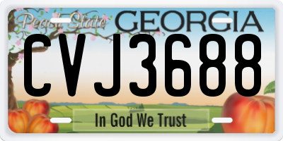 GA license plate CVJ3688