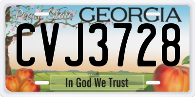 GA license plate CVJ3728