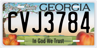 GA license plate CVJ3784