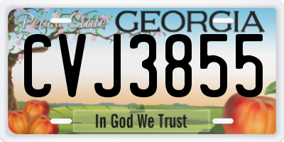 GA license plate CVJ3855