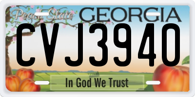 GA license plate CVJ3940