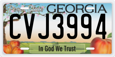 GA license plate CVJ3994