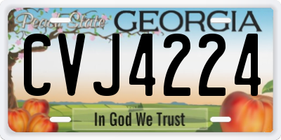 GA license plate CVJ4224