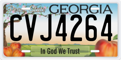 GA license plate CVJ4264