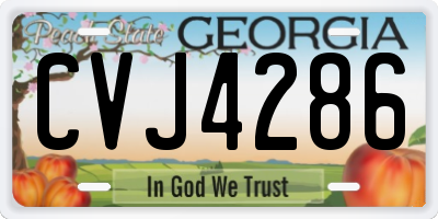 GA license plate CVJ4286