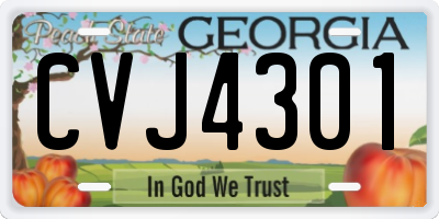 GA license plate CVJ4301
