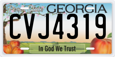 GA license plate CVJ4319